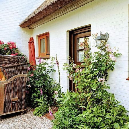 Ferienhaus Ebbe Und Flut, Terrassen-Whg Nieblum Zewnętrze zdjęcie