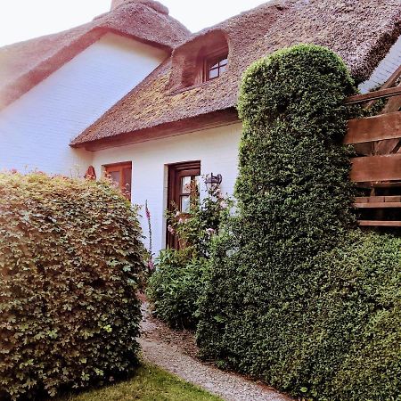 Ferienhaus Ebbe Und Flut, Terrassen-Whg Nieblum Zewnętrze zdjęcie