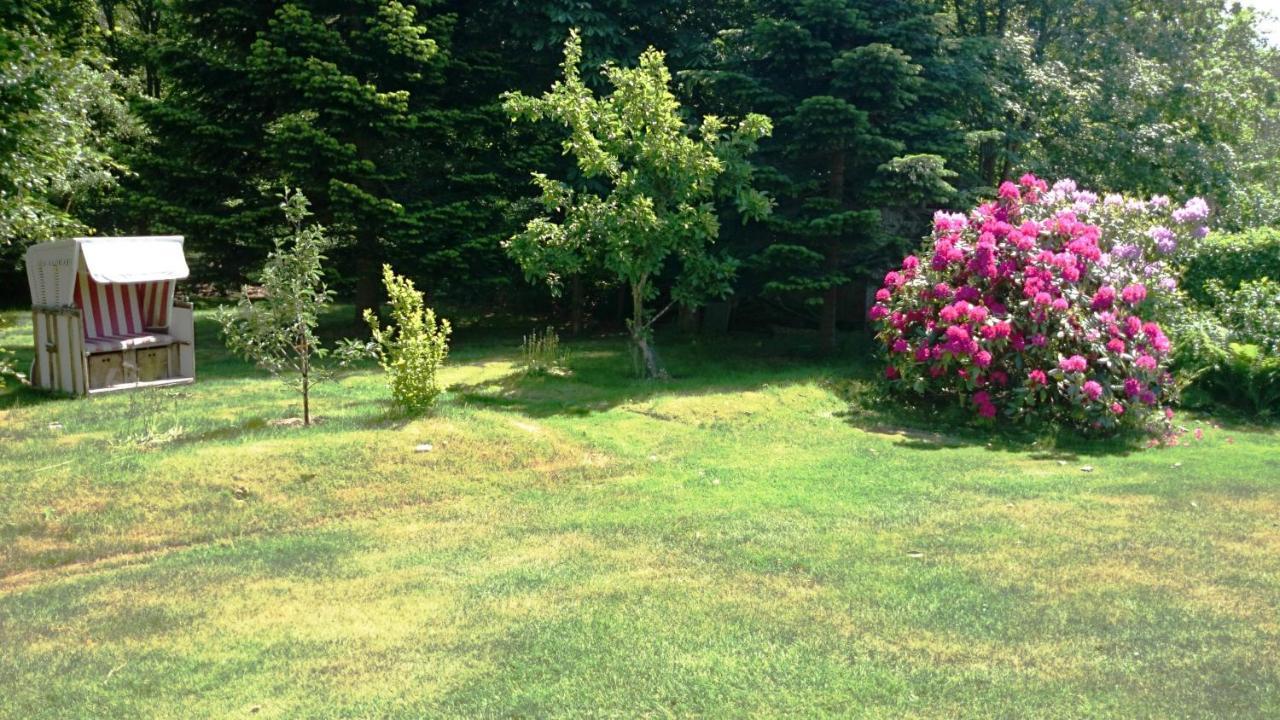 Ferienhaus Ebbe Und Flut, Terrassen-Whg Nieblum Zewnętrze zdjęcie