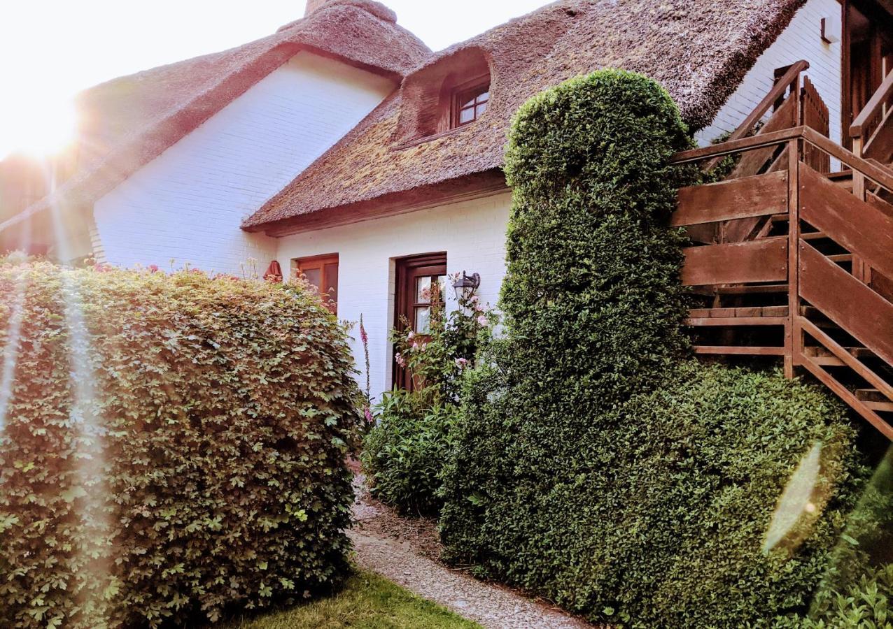 Ferienhaus Ebbe Und Flut, Terrassen-Whg Nieblum Zewnętrze zdjęcie